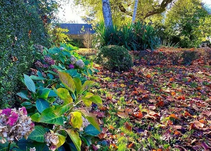 בית נופש Gypsy